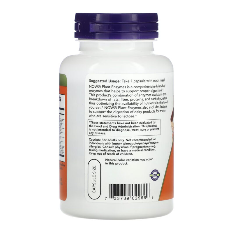 Digestive Enzymes Now Foods Plant Enzymes 120 Veg Caps