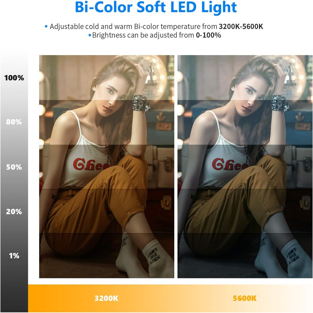 Panel of LED Light Neewer 13" Kit 2pcs Bicolor with Tripod